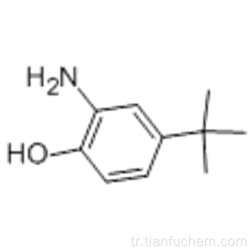 2 - Amino - 4 - tert - bütilfenol CAS 1199 - 46 - 8